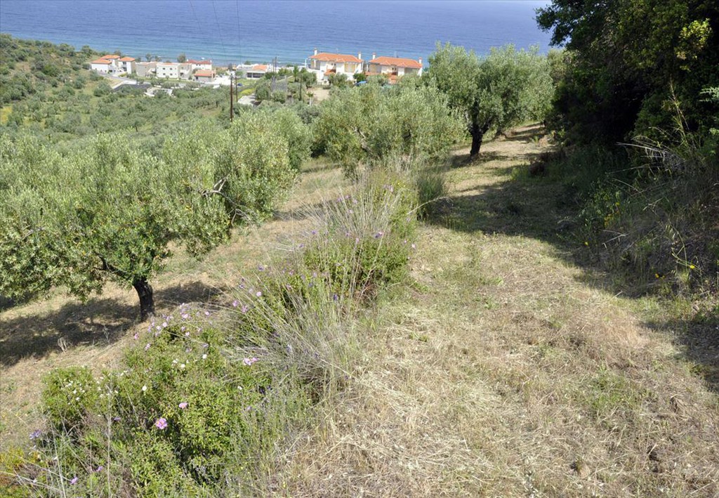 Οικόπεδο 3.750 τ.μ. προς πώληση, Σαλονικιού