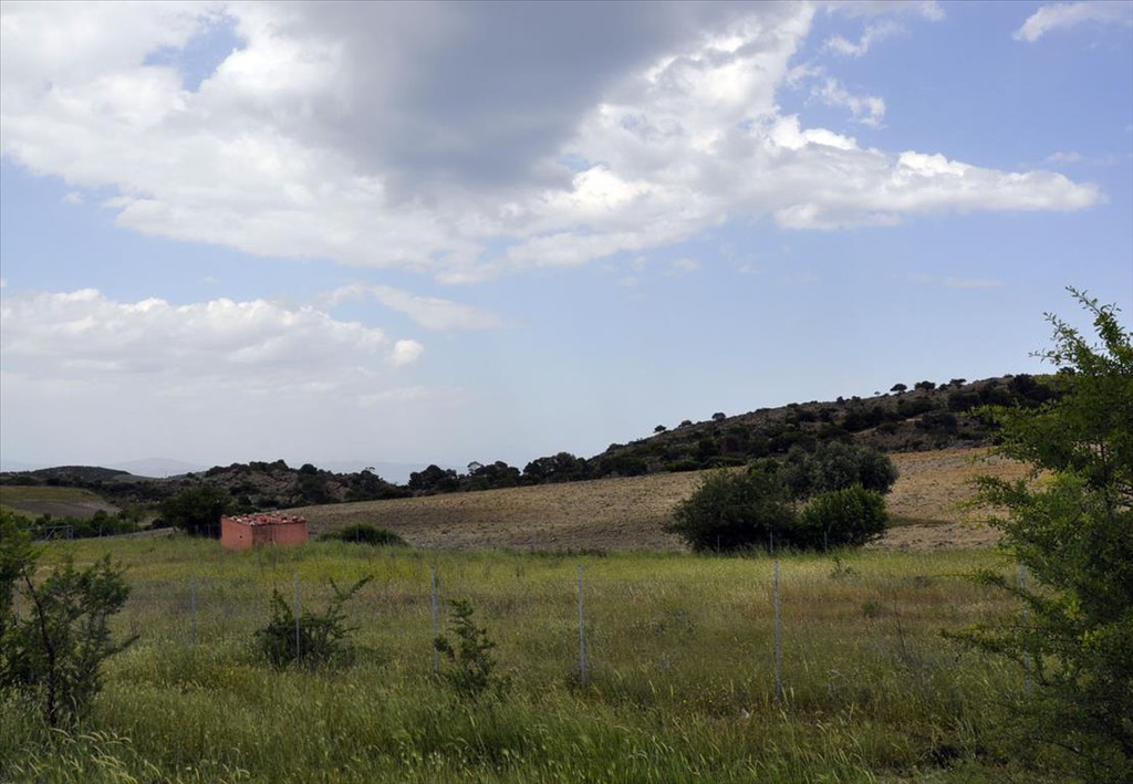 Οικόπεδο 4.000 τ.μ. προς πώληση, Άγιος Αθανάσιος Σιθωνίας