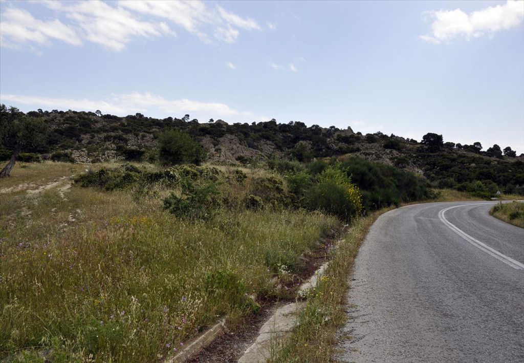 Οικόπεδο 4.000 τ.μ. προς πώληση, Άγιος Αθανάσιος Σιθωνίας