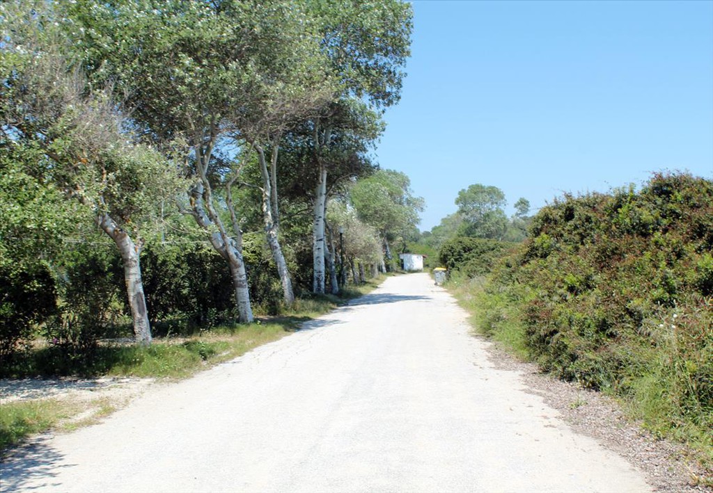 Οικόπεδο 1.360 τ.μ. προς πώληση, Παλιούρι Παλλήνης