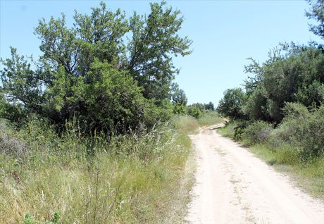 Land plot 1.898sqm for sale-Kassandra » Pefkochori