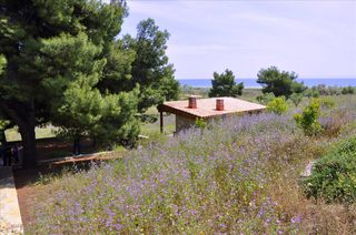 Βίλλα 300 τ.μ. για πώληση, Χαλκιδική, Ορμύλια-thumb-10