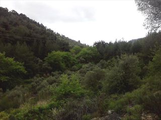 Οικόπεδο 4.500 τ.μ. για πώληση, Ν. Καβάλας, Θάσος-thumb-1