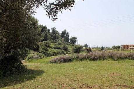 Land plot 6.000sqm for sale-Pallini » Anthousa