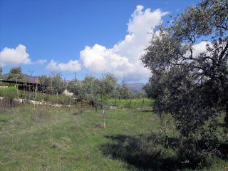 Οικόπεδο 2.995 τ.μ. για πώληση, Ν. Καβάλας, Θάσος-thumb-4
