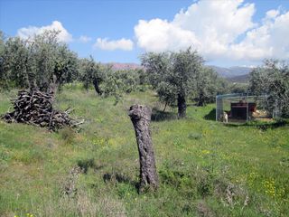 Οικόπεδο 2.995 τ.μ. για πώληση, Ν. Καβάλας, Θάσος-thumb-2