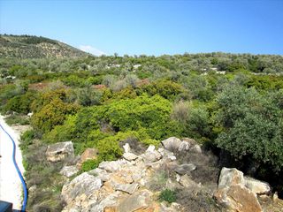 Οικόπεδο 9.200 τ.μ. για πώληση