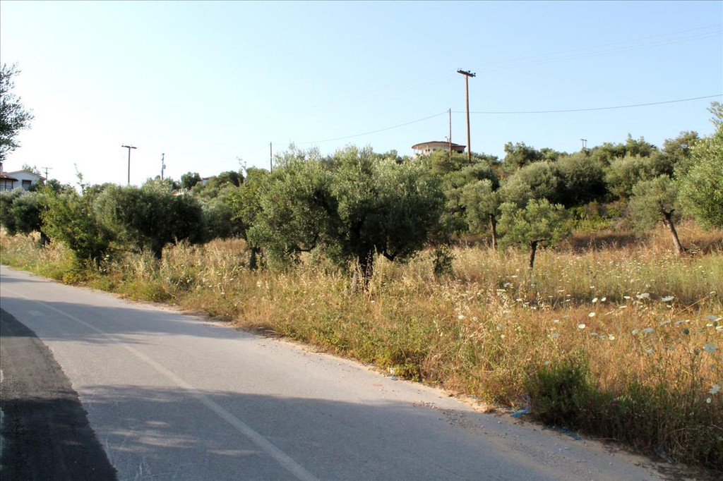 Οικόπεδο 4.000 τ.μ. προς πώληση, Ελιά Σιθωνίας