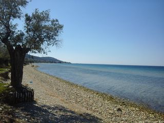 Οικόπεδο 10.500 τ.μ. για πώληση, Ν. Καβάλας, Θάσος-thumb-6