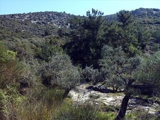 Οικόπεδο 0 τ.μ. για πώληση, Ν. Καβάλας, Θάσος-thumb-3