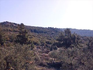 Οικόπεδο 0 τ.μ. για πώληση, Ν. Καβάλας, Θάσος-thumb-4