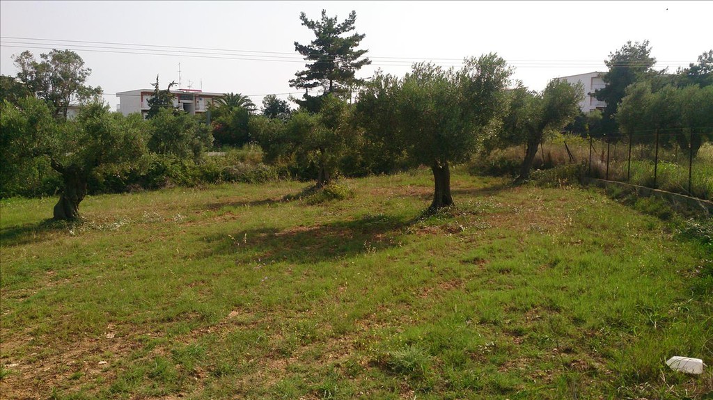 Οικόπεδο 4.589 τ.μ. προς πώληση, Κέντρο Τορώνης