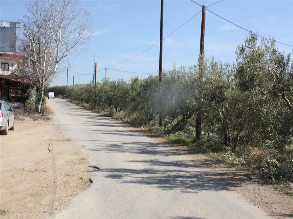 Οικόπεδο 8.880 τ.μ. προς πώληση, Κρυοπηγή Κασσάνδρας