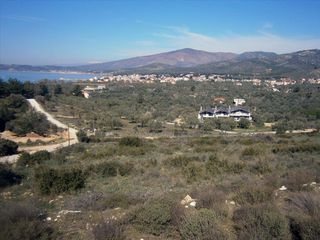 Οικόπεδο 0 τ.μ. για πώληση, Ν. Καβάλας, Θάσος-thumb-1