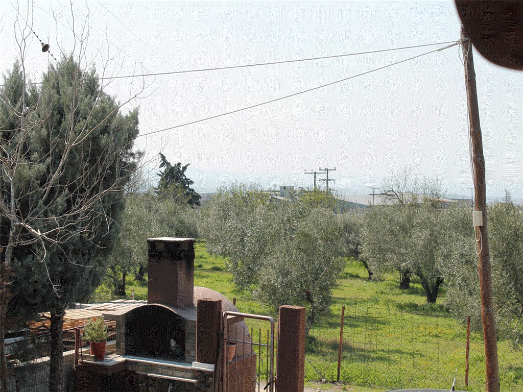Μονοκατοικία 270 τ.μ. προς πώληση, Τριάδιο