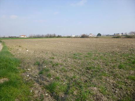 Land plot 8.800sqm for sale-Paralia » Kallithea