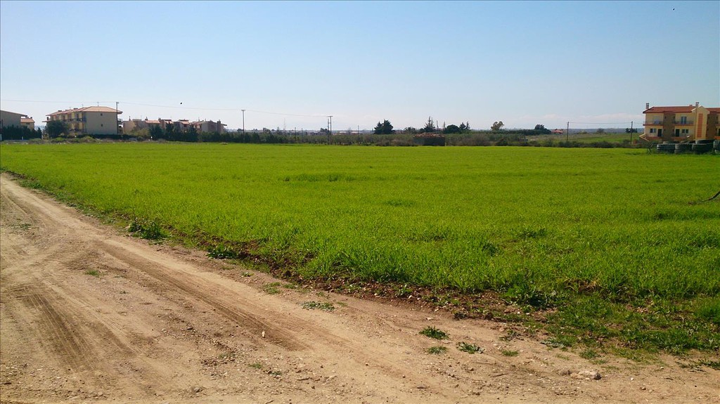 Οικόπεδο 8.800 τ.μ. προς πώληση, Καλύβες Πολυγύρου