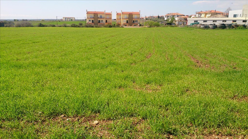 Οικόπεδο 8.800 τ.μ. προς πώληση, Καλύβες Πολυγύρου