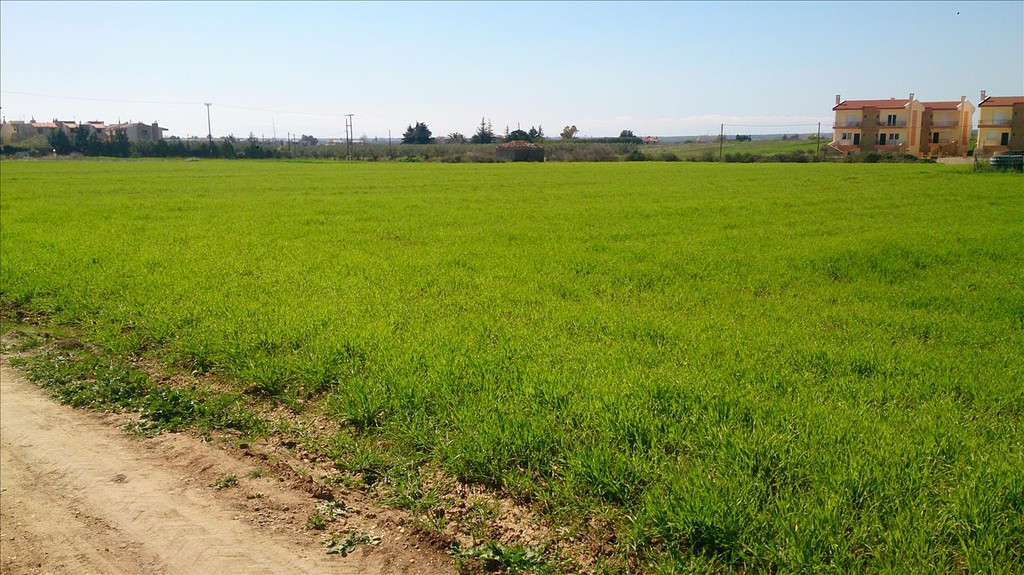 Οικόπεδο 8.800 τ.μ. προς πώληση, Καλύβες Πολυγύρου