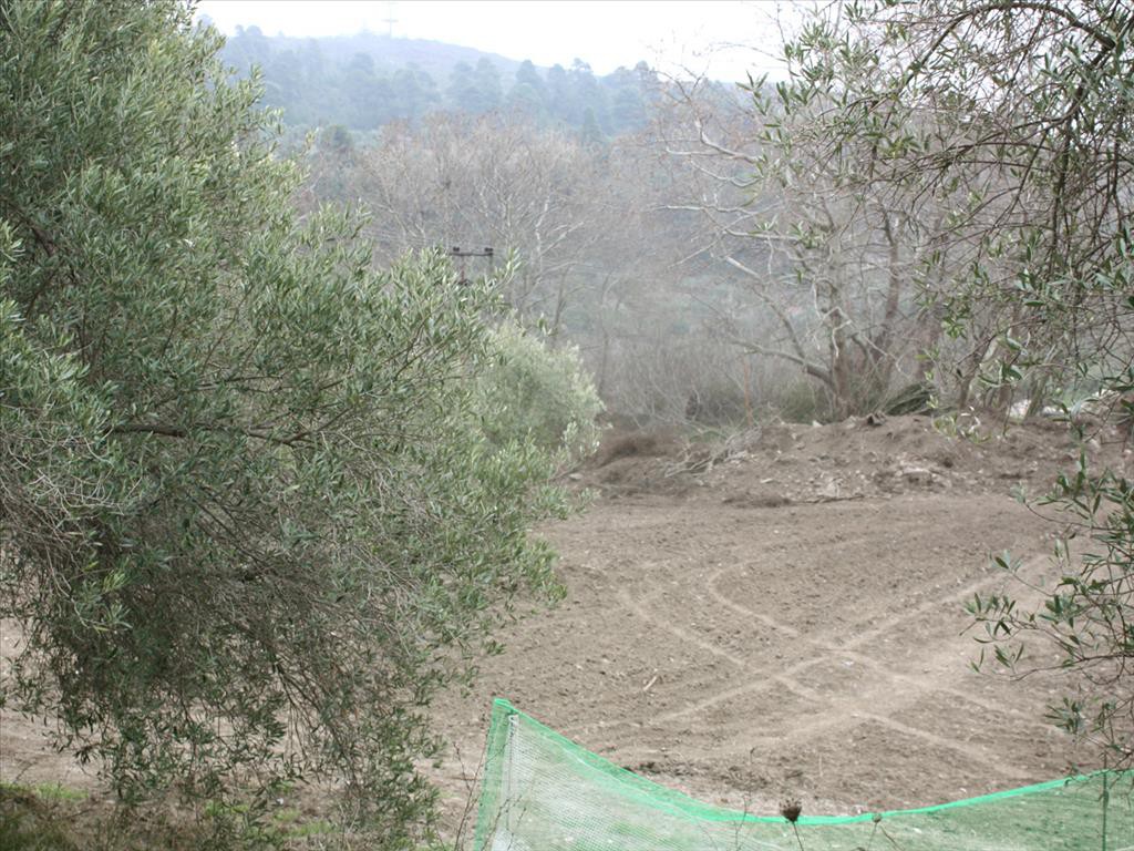 Οικόπεδο 750 τ.μ. προς πώληση, Παρθενώνας