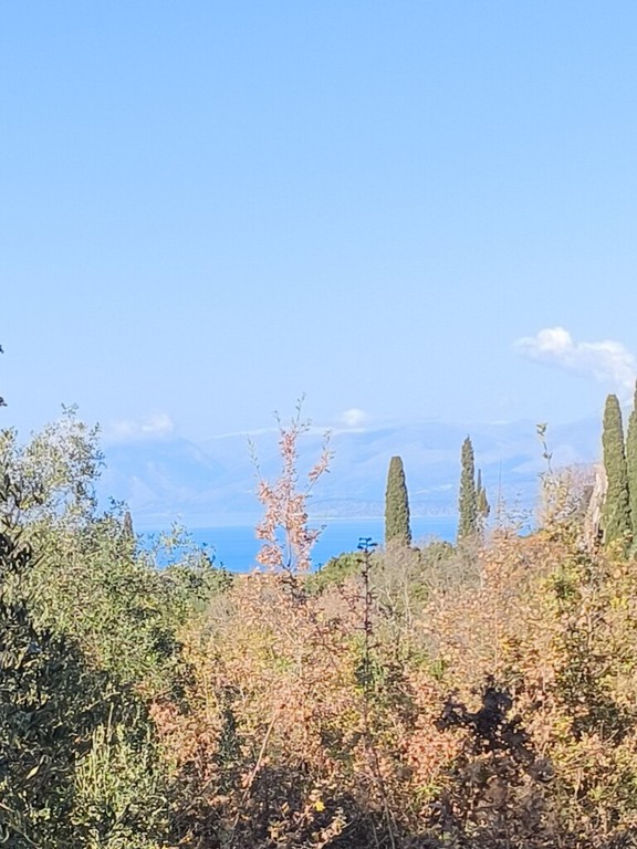 Οικόπεδο 5.015 τ.μ. προς πώληση, Κασσιόπη