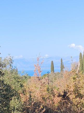 Οικόπεδο 5.015 τ.μ. προς πώληση