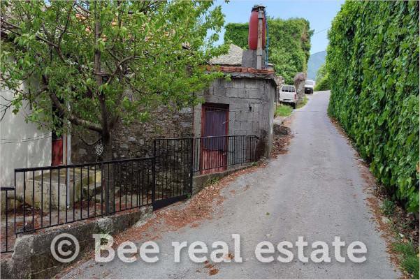 Μονοκατοικία 290 τ.μ. προς πώληση, Χορευτό