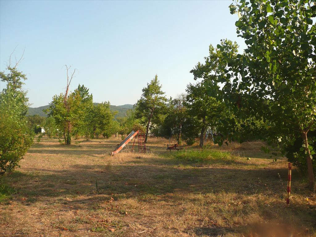Οικόπεδο 18.000 τ.μ. προς πώληση, Ολυμπιάδα Χαλκιδικής