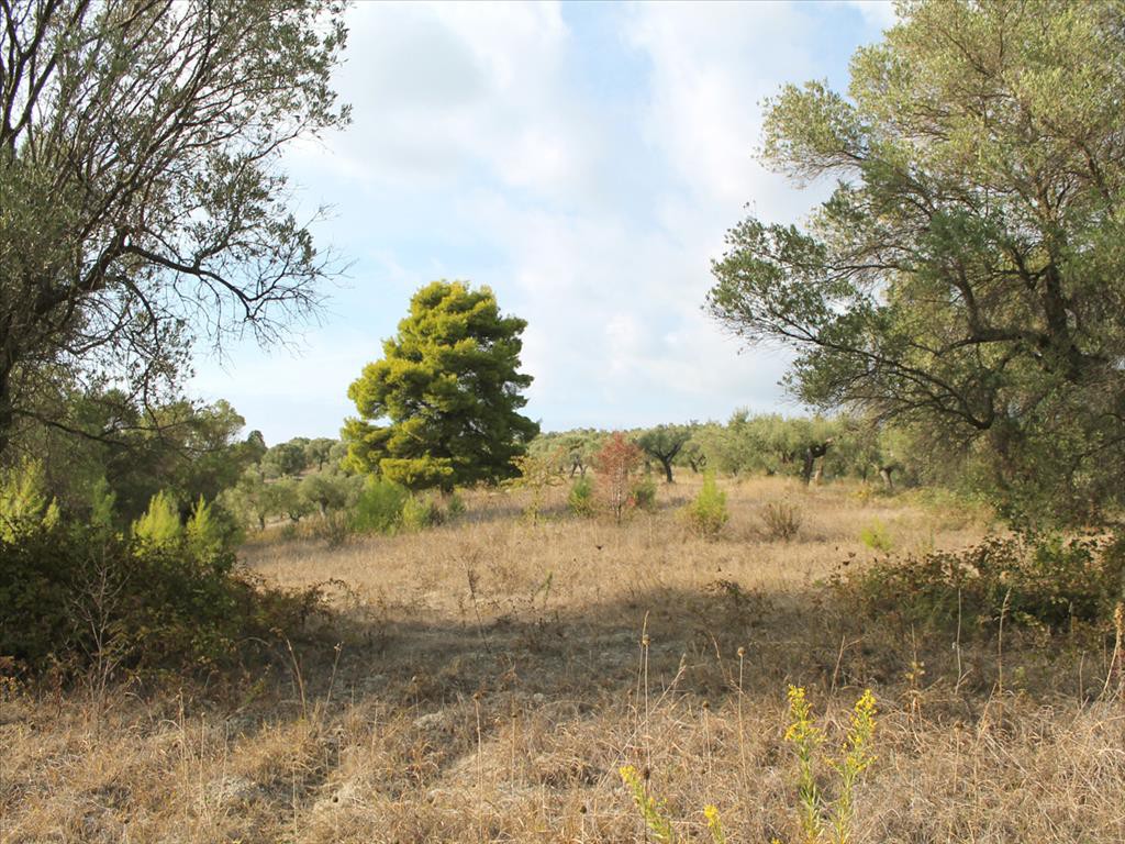 Οικόπεδο 4.000 τ.μ. προς πώληση, Γλυφονέρι