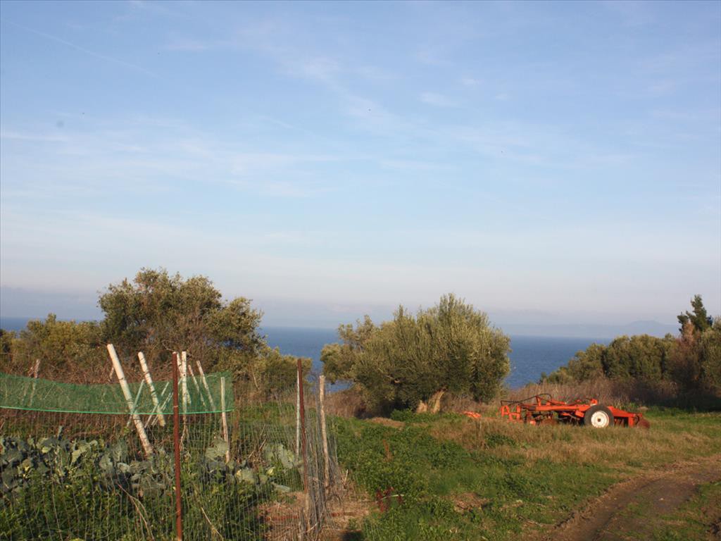 Οικόπεδο 20.000 τ.μ. προς πώληση, Κρυοπηγή Κασσάνδρας
