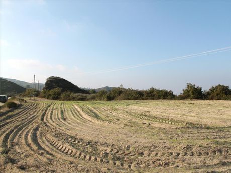 Land plot 6.350sqm for sale-Pallini » Nea Skioni