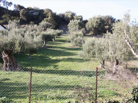 Land plot 0sqm for sale-Pallini » Nea Skioni