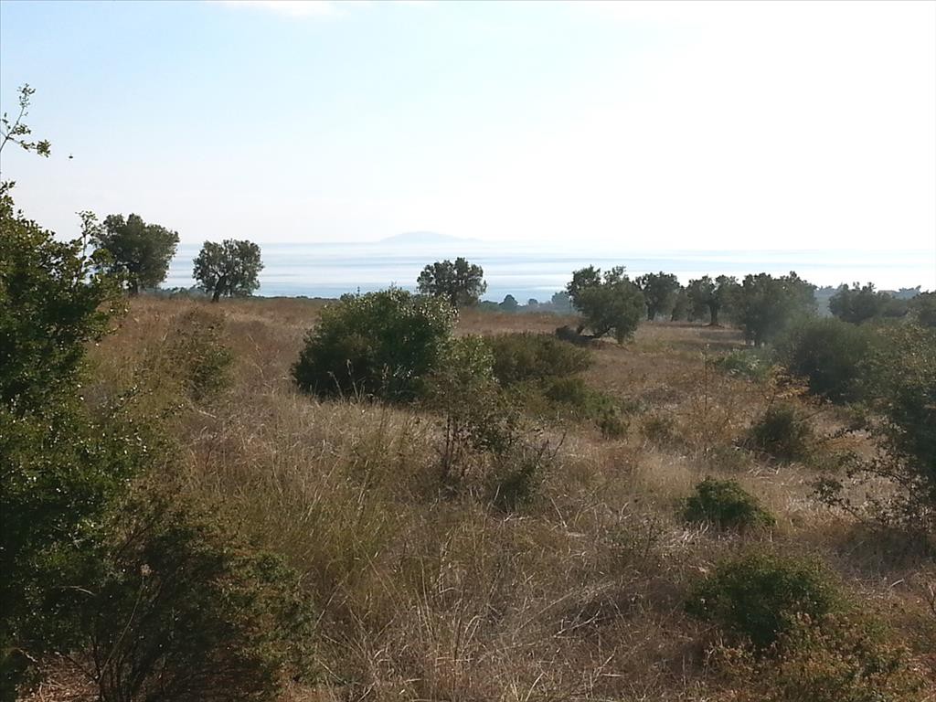 Οικόπεδο 13.828 τ.μ. προς πώληση, Άγιος Νικόλαος Σιθωνίας