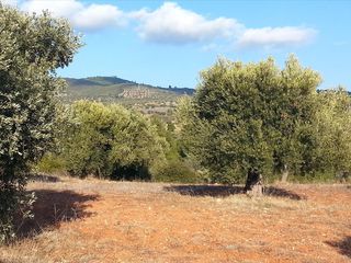 Οικόπεδο 5.066 τ.μ. για πώληση
