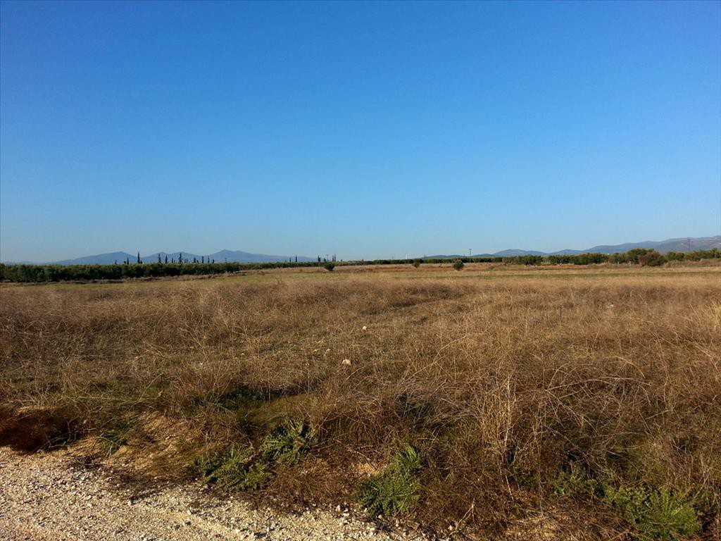 Οικόπεδο 16.600 τ.μ. προς πώληση, Γερακινή