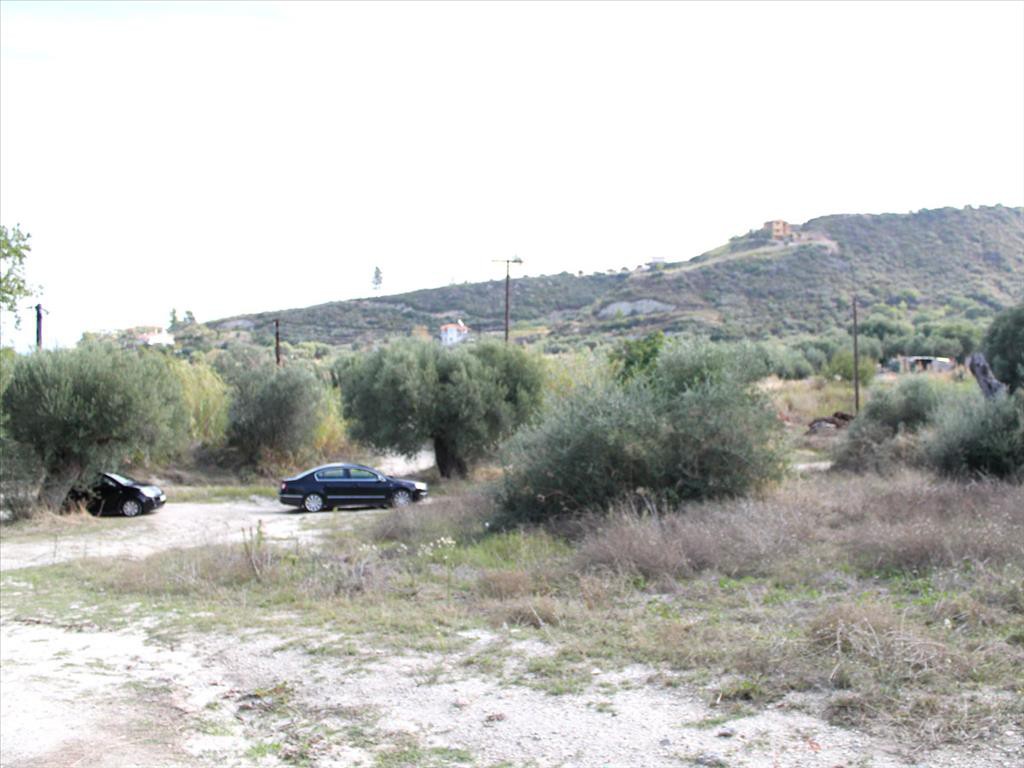 Οικόπεδο 0 τ.μ. προς πώληση, Πολύχρονο