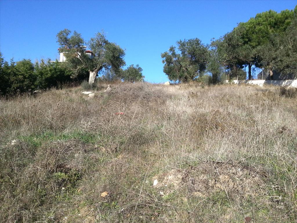 Οικόπεδο 1.830 τ.μ. προς πώληση, Μετόχι Ορμύλιας
