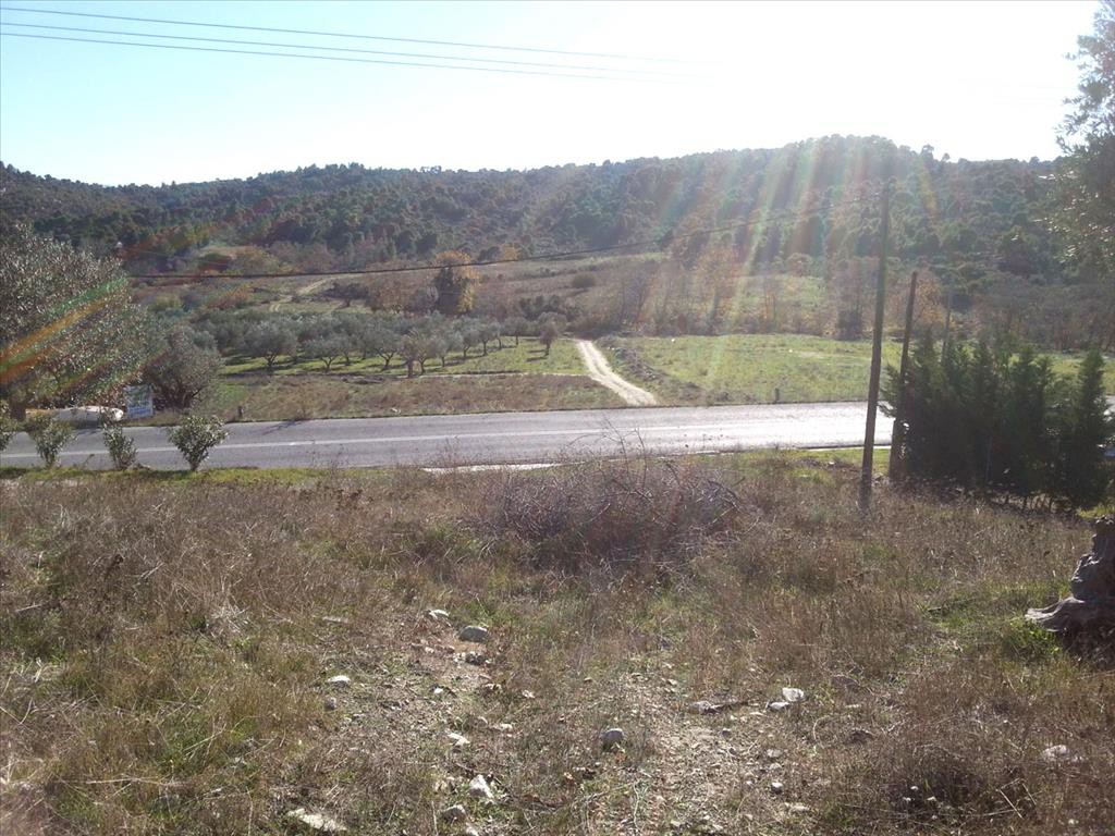 Οικόπεδο 1.830 τ.μ. προς πώληση, Μετόχι Ορμύλιας