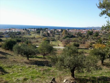 Land plot 5.000sqm for sale-Sithonia » Agios Nikolaos