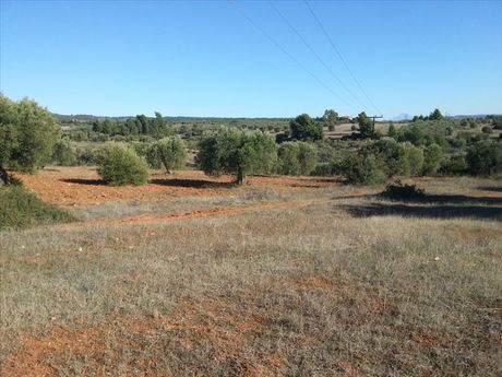 Land plot 5.000sqm for sale-Ormilia » Metochi