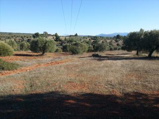 Οικόπεδο 5.000 τ.μ. για πώληση, Χαλκιδική, Ορμύλια-thumb-1
