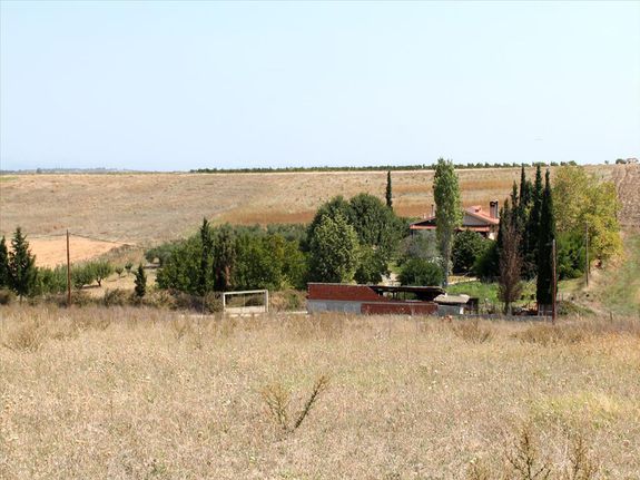 Land plot 10.000 sqm for sale, Chalkidiki, Kassandra