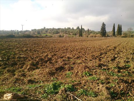Land plot 29.643sqm for sale-Kassandra » Kallithea