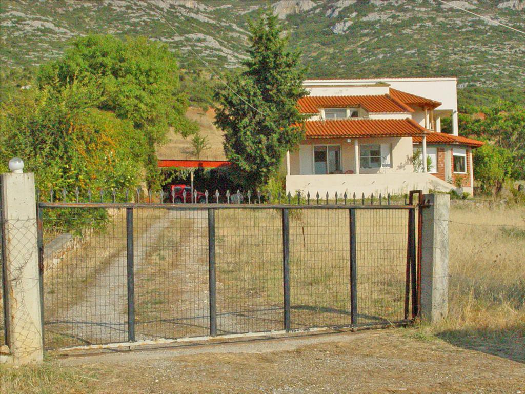 Μονοκατοικία 360 τ.μ. προς πώληση, Άγιος Πρόδρομος