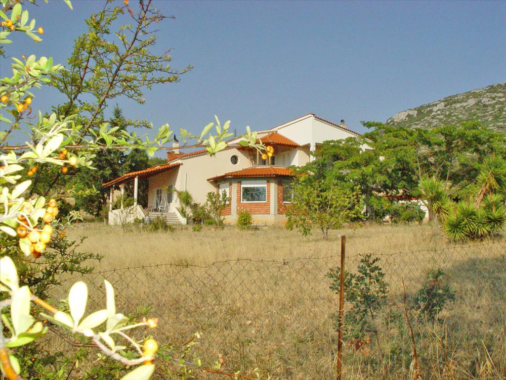 Μονοκατοικία 360 τ.μ. προς πώληση, Άγιος Πρόδρομος