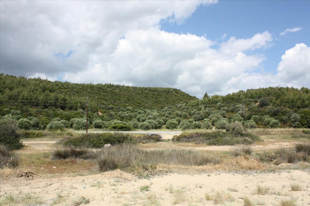Οικόπεδο 30.000 τ.μ. προς πώληση, Κορτήρι