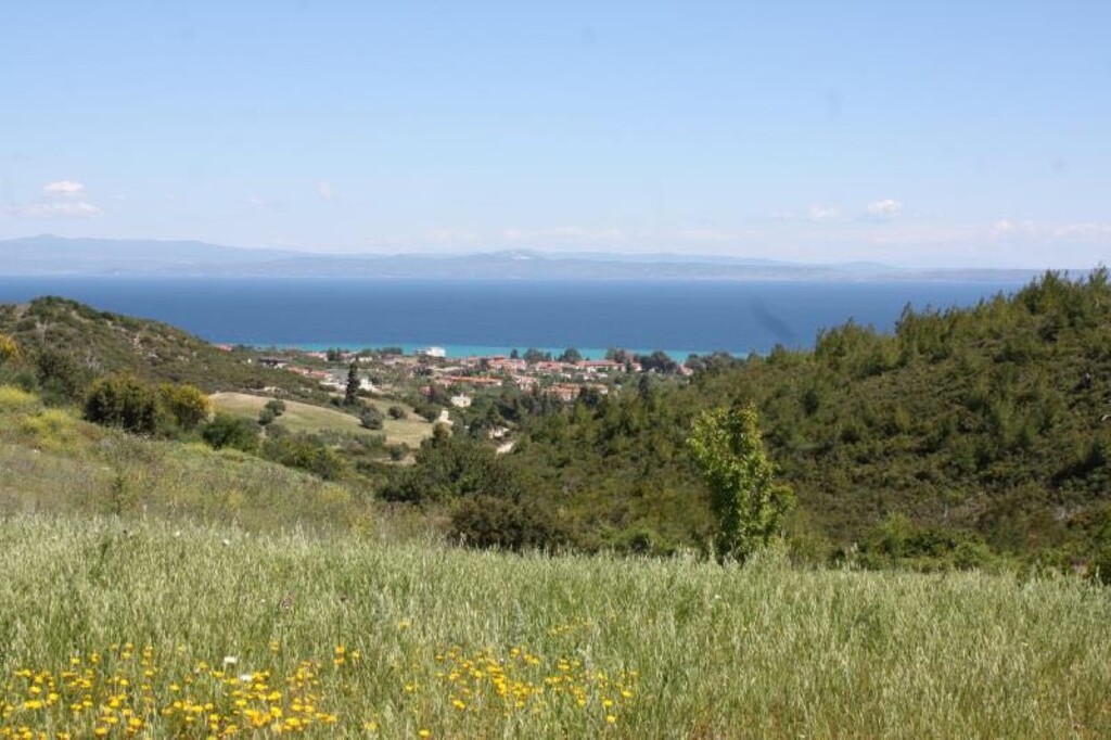 Οικόπεδο 6.750 τ.μ. προς πώληση, Χανιώτης