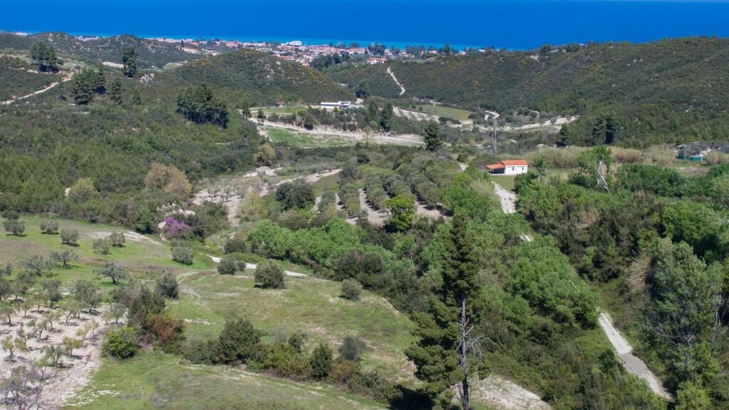 Οικόπεδο 6.080 τ.μ. προς πώληση, Ανθούσα Παλλήνης Χαλκιδικής