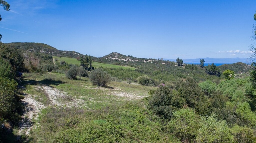 Οικόπεδο 6.080 τ.μ. προς πώληση, Ανθούσα Παλλήνης Χαλκιδικής