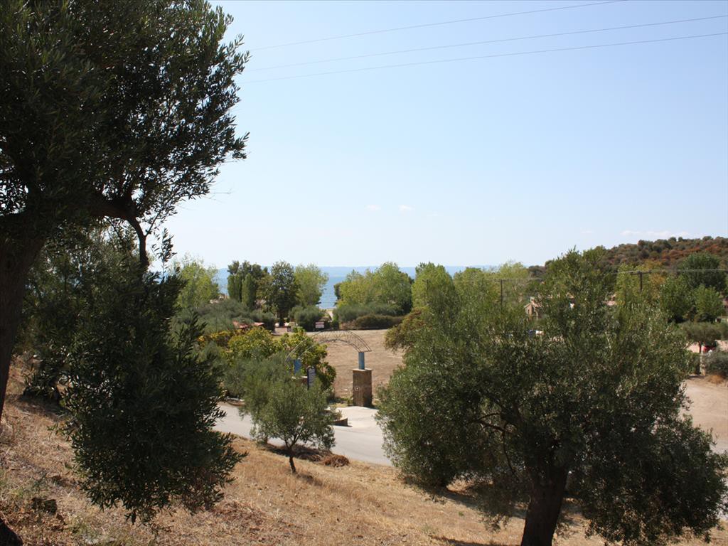 Οικόπεδο 2.654 τ.μ. προς πώληση, Αγία Κυριακή Σιθωνίας